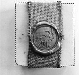 Trademark image