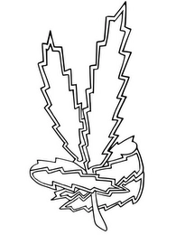 Trademark image
